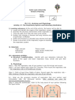 Activity 17 The Respiratory System and Pulmonary Ventilation