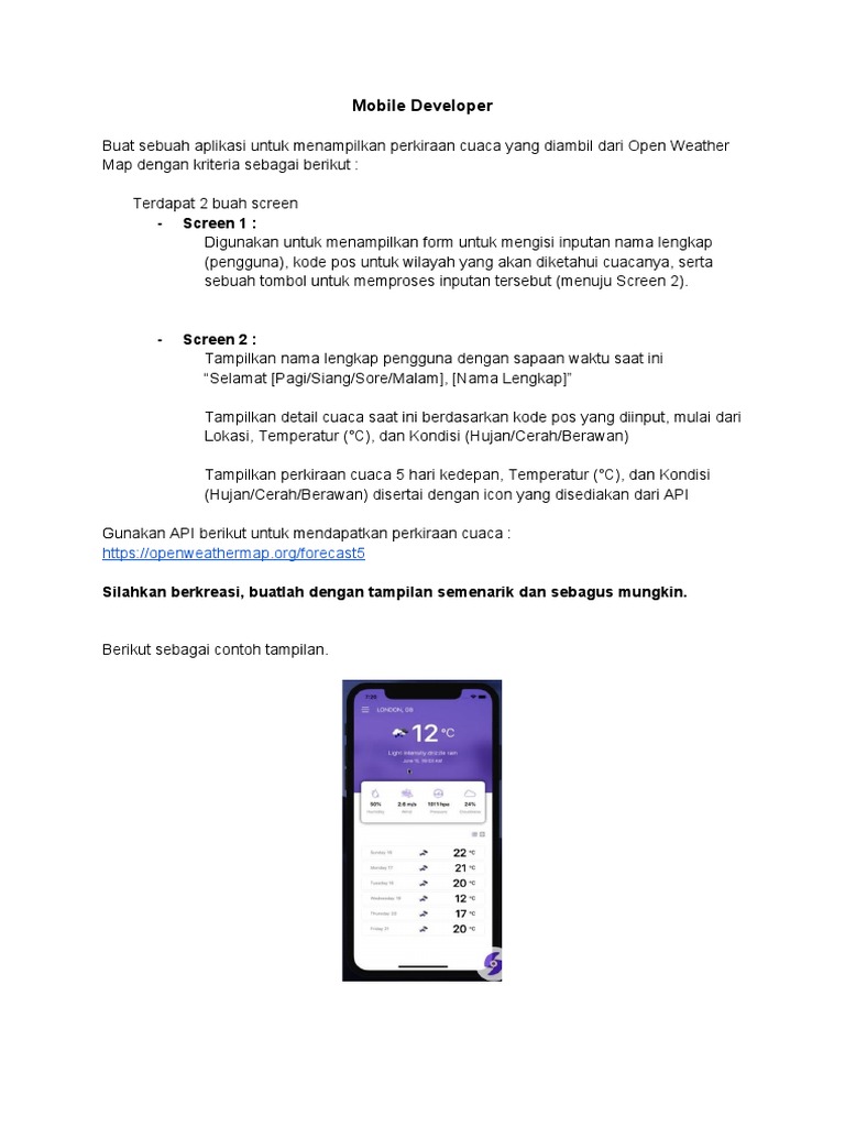 Mobile Developer Test | PDF