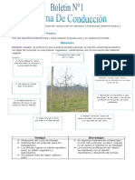 Boletin Definitivo 2