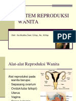 Wanita