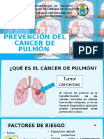 Rotafolio Del Cancer de Pulmon 