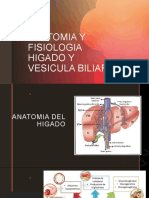 Anatomía y fisiología del hígado y la vesícula biliar