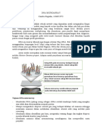 Dna Microarray