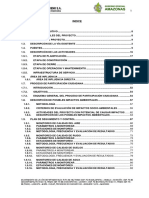 DECLARACION DE IMPACTO AMBIENTAL AMAZONAS. 09.09.19.pdf