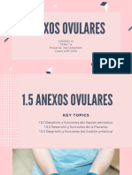 Anexos Ovulares 1