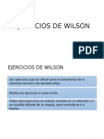 EJERCICIOS DE  WILSON Y DE WILLIAMS.pptx