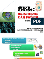 3.struktur-dan-fungsi-sel.pdf