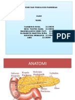Anatomi Dan Fisiologis Pankreas