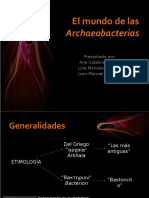 El Mundo de Las Archaeobacterias