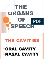 The Organs of Speech