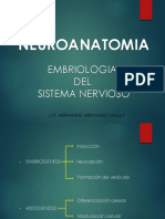 Neuroanatomia Embriologia Del Sistema Ne PDF