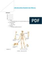 LKPD Tulang Berdasarkan Bentuk Dan Ukuran