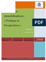 Audit Des Immobilisations