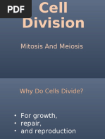 Cell Division