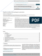 PathogenicSpirocheteReviewPub