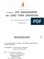 Plant Life Management International Atomic Energy Cernavoda NPP Strategy PDF