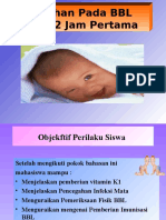 Asuhan Bayi Baru Lahir 2 Jam Pertama