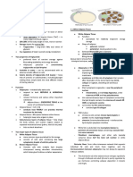 CH 6 Adipose Tissues