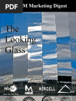 Download The Looking Glass by Samarth Gulati SN45107430 doc pdf