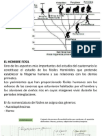 Hombre Folsil Filogenia Humana