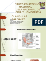 Glandulas Sali