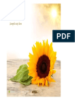 vdocuments.net_sunflowerdocx.docx