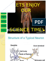 ENDOCRINE SYSTEM.pptx