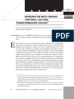 Povos Indigenas em Mato Grosso Do Sul Historia Cul