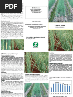 Cebolinhas.pdf