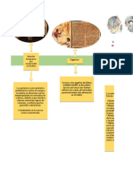 Línea de tiempo Neurospsicología