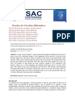 practica 1 de hidraulica -Circuitos Hidraulicos-.pdf