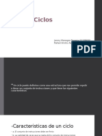 Ciclos de programación