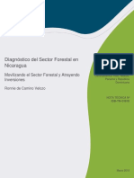 Diagnóstico Del Sector Forestal en Nicaragua Movilizando El Sector Forestal y Atrayendo Inversiones Es Es PDF