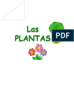 Las Plantas Son Seres Vivos y Pertenecen Al Reino Vegetal