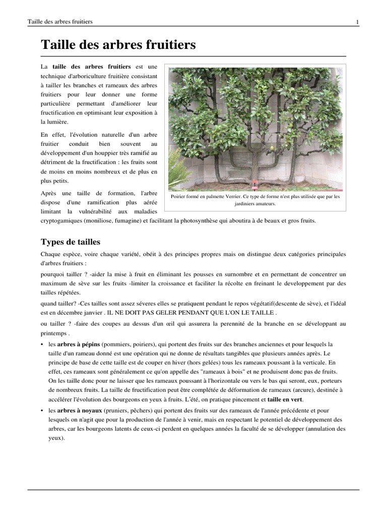 De La Taille à La Conduite Des Arbres Fruitiers Pdf Taille Des Arbres Fruitiers | PDF | Techniques horticoles | Plantes