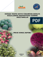 Tropik Meyve Türleri PDF