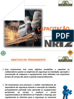 treinamentonr12modelo-170103182720.pdf