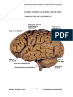 The Notes of Nervous System