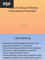 Download Pengaruh Cahaya Terhadap Pertumbuhan Kecambah by Ramon Bae SN45115189 doc pdf