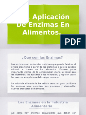 Aplicacion de Las Enzimas en Los Alimentos | PDF | Enzima | Cerveza