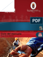 Ciclo Biogeoquimico Del Mercurio