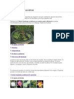 Tipos de plantas acuáticas.docx