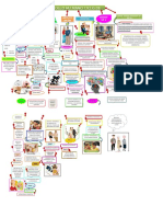 Mapa Conseptual Desarrollo Humano Ciclo de Vida Diana Parrado Id 52130