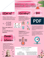 Infografia Equilibrio Quimico