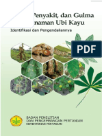 Hama Penyakit Ubi Kayu