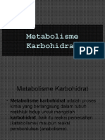 metabolisme-karbohidrat
