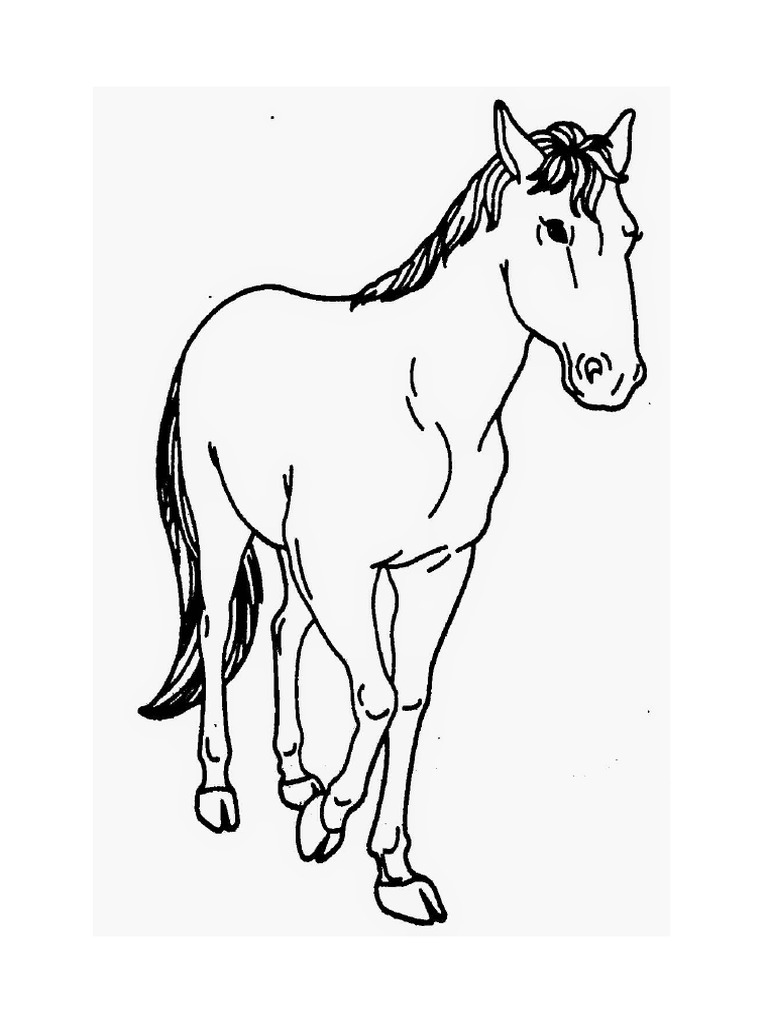 Gmbr Haiwan Hitam Putih Pdf