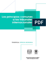 Principios Tribunales Internacionales PDF