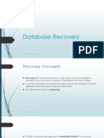 Database Recovery PDF