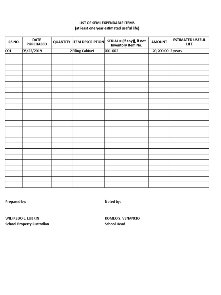 Semi-Expendable Items Inventory List | PDF